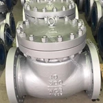 Cast steel Check Valve