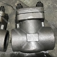 Forged Swing Check Valve