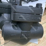 Forged Piston Check Valve