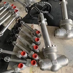 Forged Steel Cryogenic Globe Valve