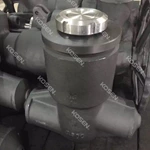 Pressure Seal Piston Check Valve