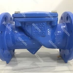 Swing Flex Check Valve
