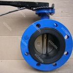 Flanged Concentric Butterfly Valve