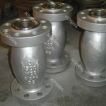 Axial Flow Check Valve