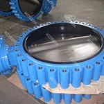 Lug Concentric Butterfly Valve