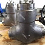 Pressure Seal Swing Check Valve