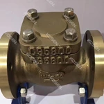Forged Bronze Check Valve