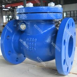 Cast Iron Check Valve
