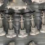 Forged Bellow Sealed Globe Valve