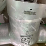 Power Station Check Valve