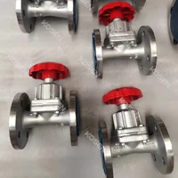 Stainless Steel Diaphragm Valve