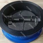 Cast Iron Dual Plate Check Valve