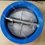 Cast Iron Dual Plate Check Valve