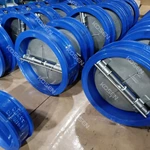 Cast Iron Dual Plate Check Valve