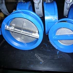 Cast Iron Dual Plate Check Valve