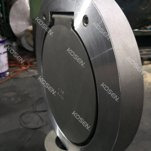 Single Disc Check Valve