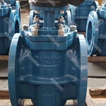 Eccentric Plug Valve