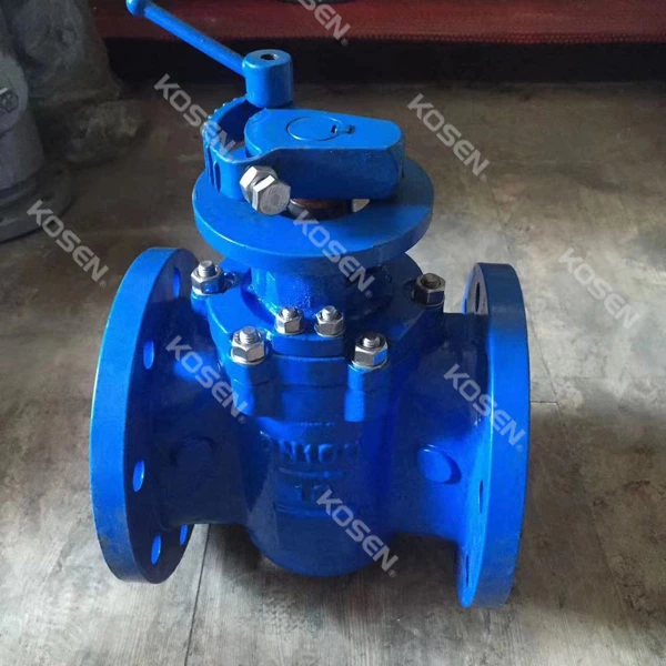Eccentric Plug Valve