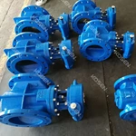 Eccentric Plug Valve