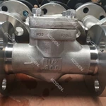 Flanged End Check Valve