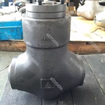 Pressure Seal Swing Check Valve