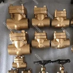 Forged Bronze Check Valve