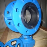 Flanged Concentric Butterfly Valve