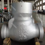 Power Station Check Valve