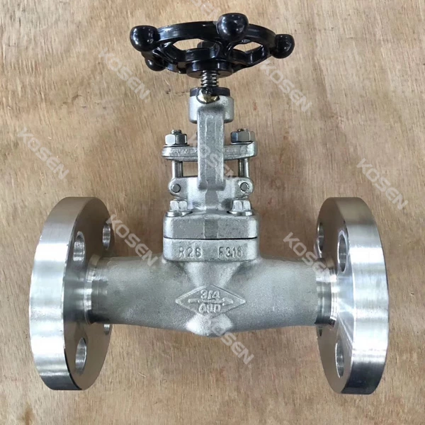 Stainless Steel Globe Valve
