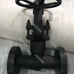 Pressure Seal Globe Valve
