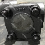 Forged Swing Check Valve