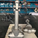 Forged Steel Cryogenic Globe Valve