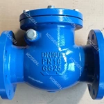 Cast Iron Check Valve