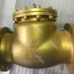 Cast Bronze Check Valve