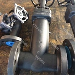 Forged Bellow Sealed Globe Valve