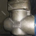 Forged Swing Check Valve