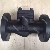 Forged Piston Check Valve