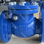 Cast Iron Check Valve