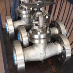 Flanged End Globe Valve