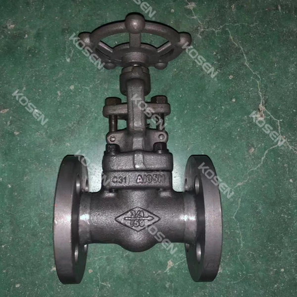 Forged Steel Globe Valve