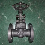 Forged Steel Globe Valve