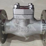 Flanged End Check Valve