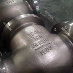 Stainless Steel Check Valve