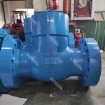 Power Station Check Valve