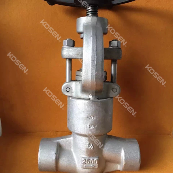 Pressure Seal Globe Valve
