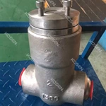 Pressure Seal Swing Check Valve
