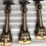 Forged Bronze Globe Valve