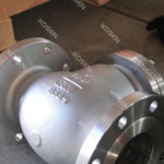 Stainless Steel Check Valve