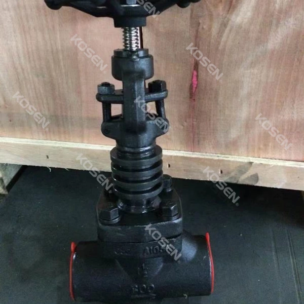 Forged Steel Cryogenic Globe Valve