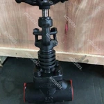 Forged Steel Cryogenic Globe Valve